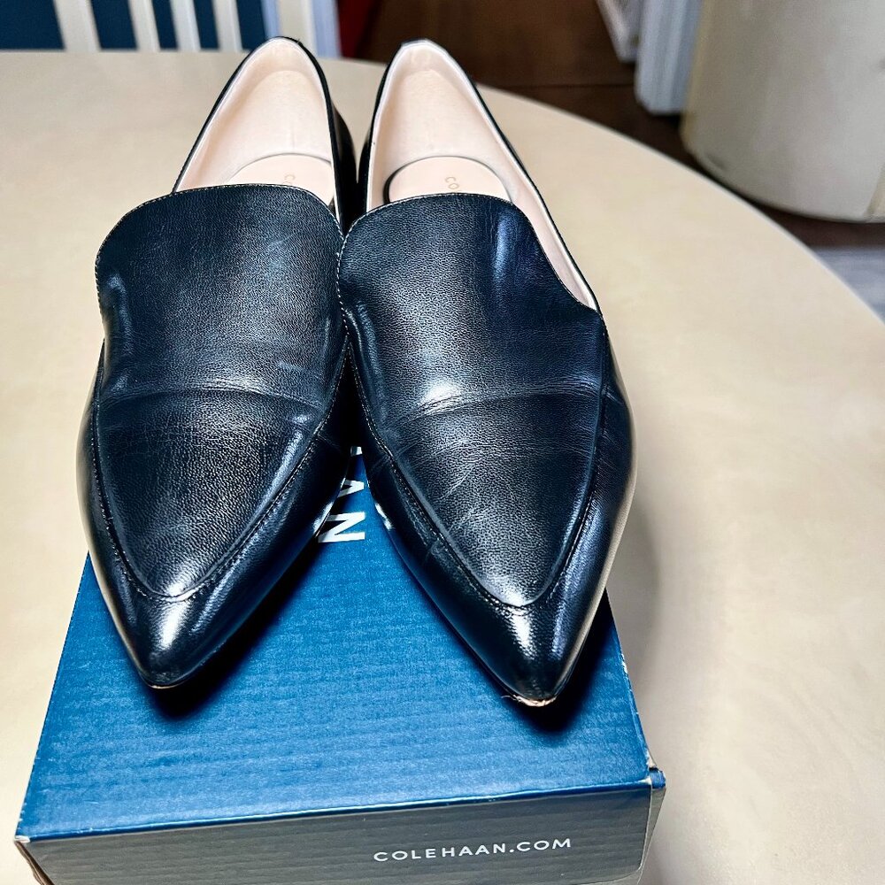 Cole Haan Brie Skimmer Pointed Toe Flat